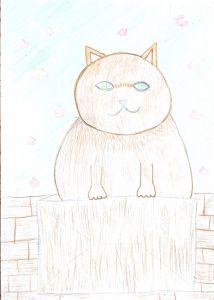 Кот в коробке