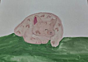 Спящий котёнок