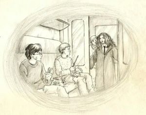 Гарри Поттер и его друзья